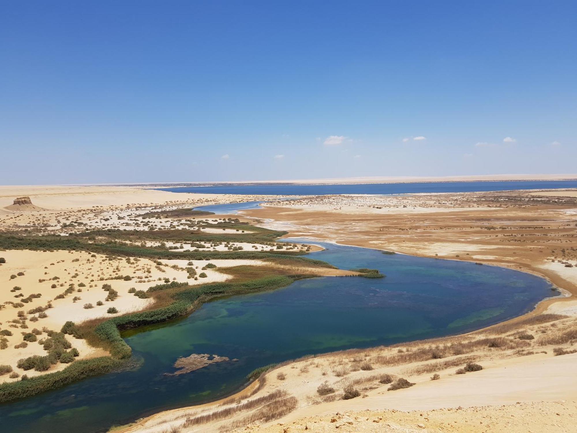 Maged Pyramids View Inn Kafret el-Gabal エクステリア 写真