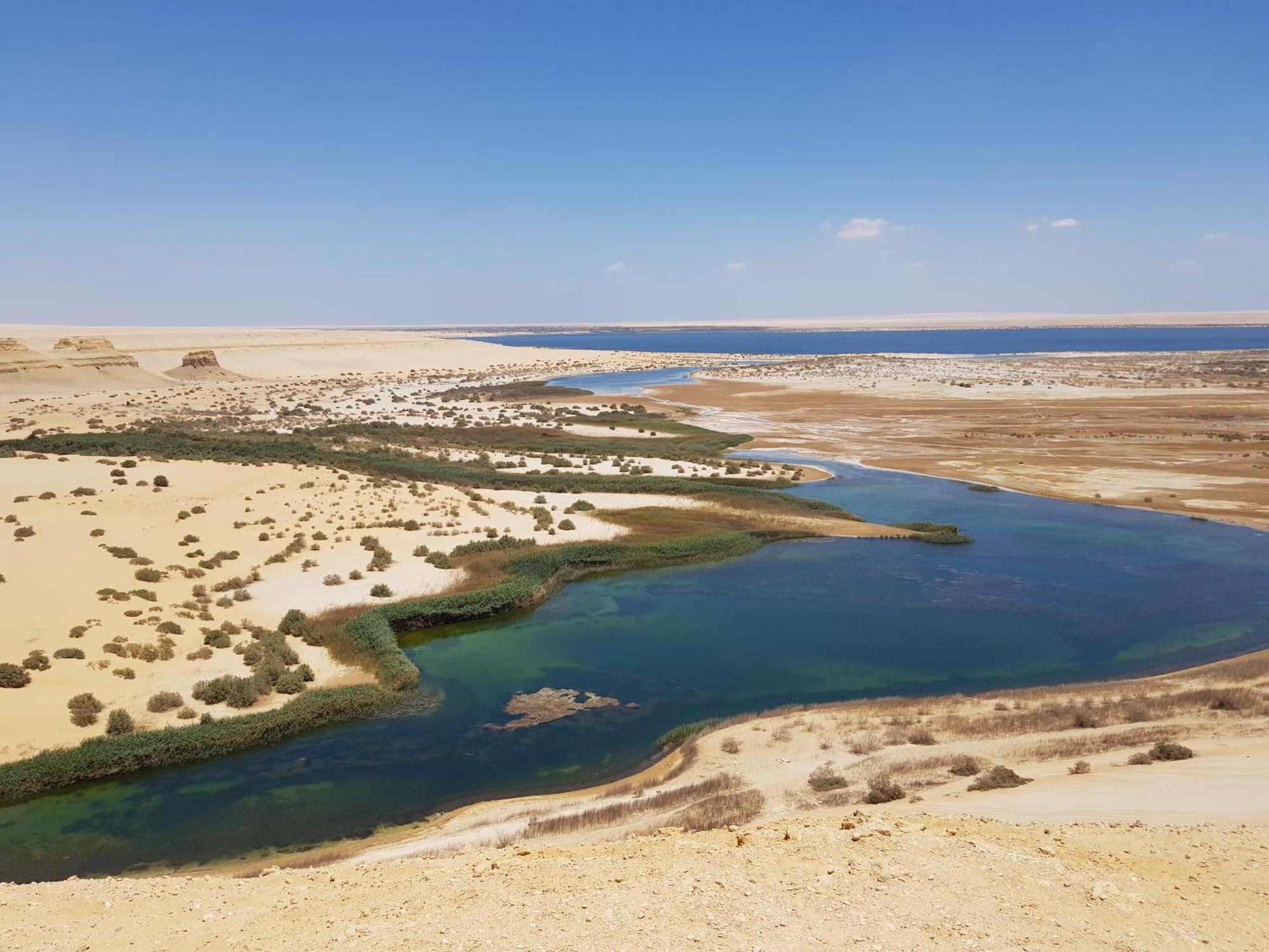 Maged Pyramids View Inn Kafret el-Gabal エクステリア 写真