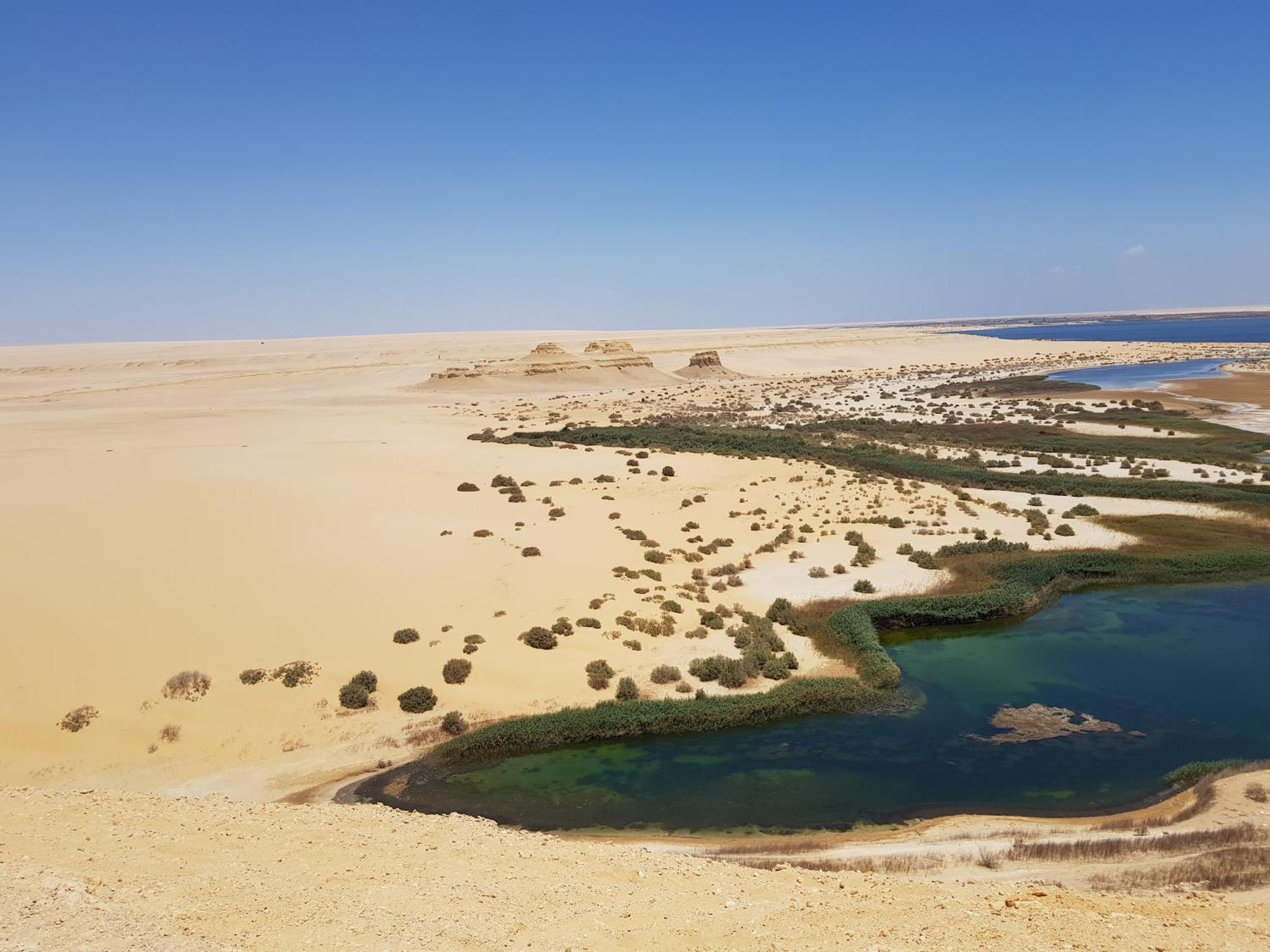 Maged Pyramids View Inn Kafret el-Gabal エクステリア 写真
